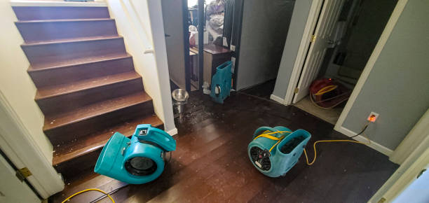 Best Emergency water damage restoration  in Greenfield, IN