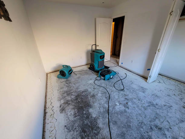 Best Local water damage restoration  in Greenfield, IN
