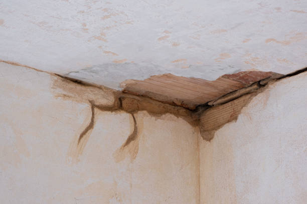 Best 24/7 water damage repair  in Greenfield, IN