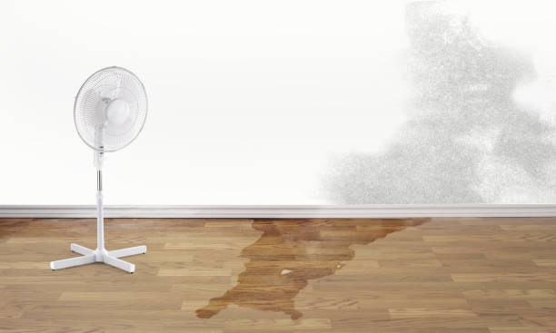 Best Water damage restoration near me  in Greenfield, IN