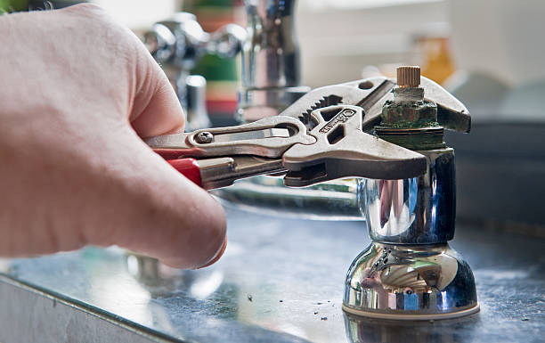 Best Flood damage cleanup  in Greenfield, IN