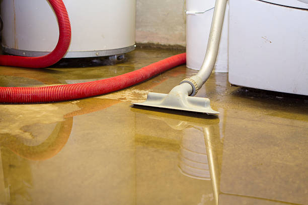 Best Water damage restoration experts  in Greenfield, IN