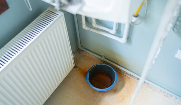 Best Flood restoration services  in Greenfield, IN